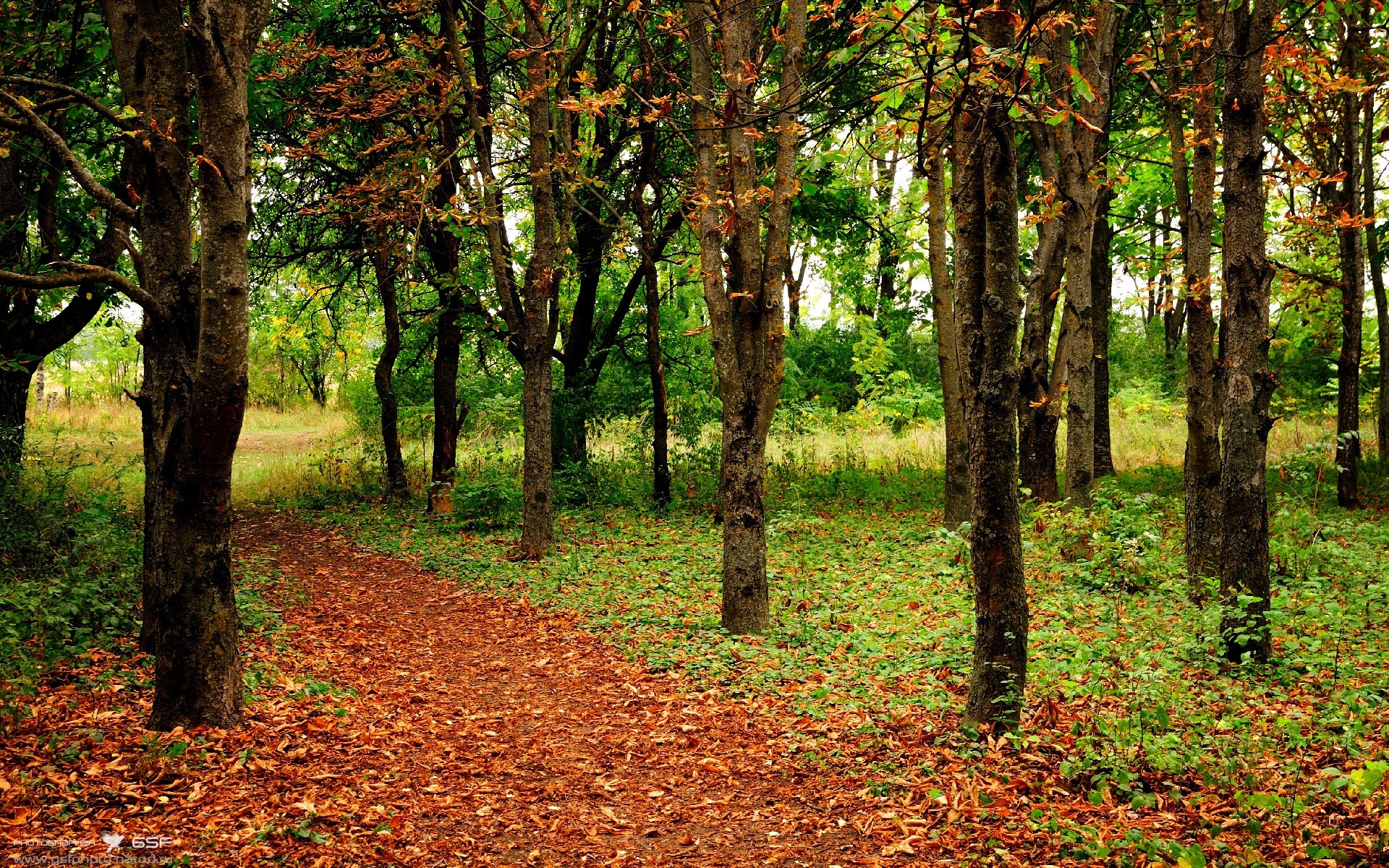 kaiyun体育综合-_航海运动全球巡演：浪花中的速度与激情_，航海浪漫