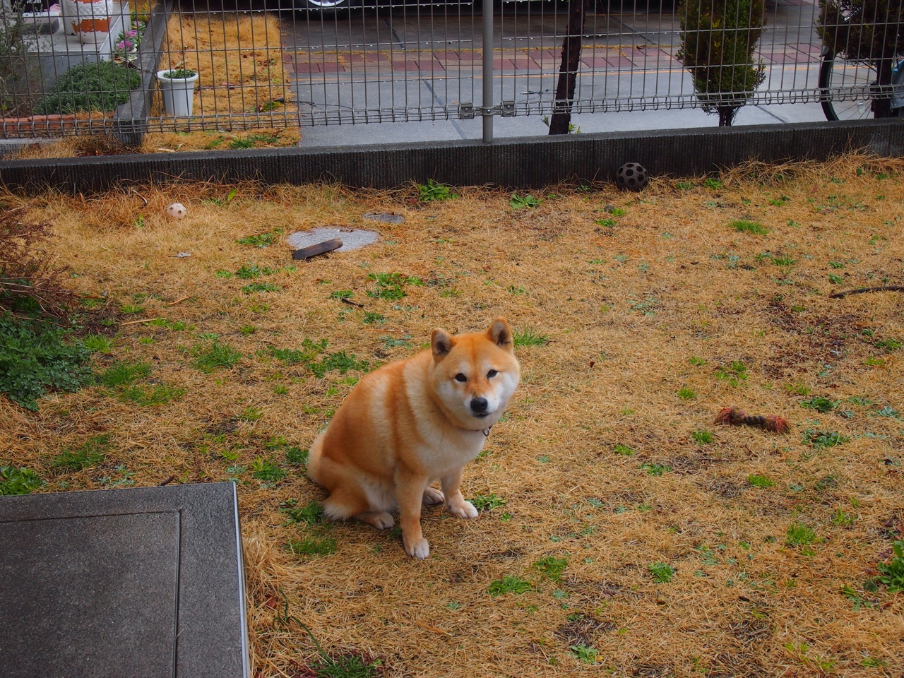 开云·体育官网-“德甲激烈战况，强队纷纷展现以实力”，德甲阵容