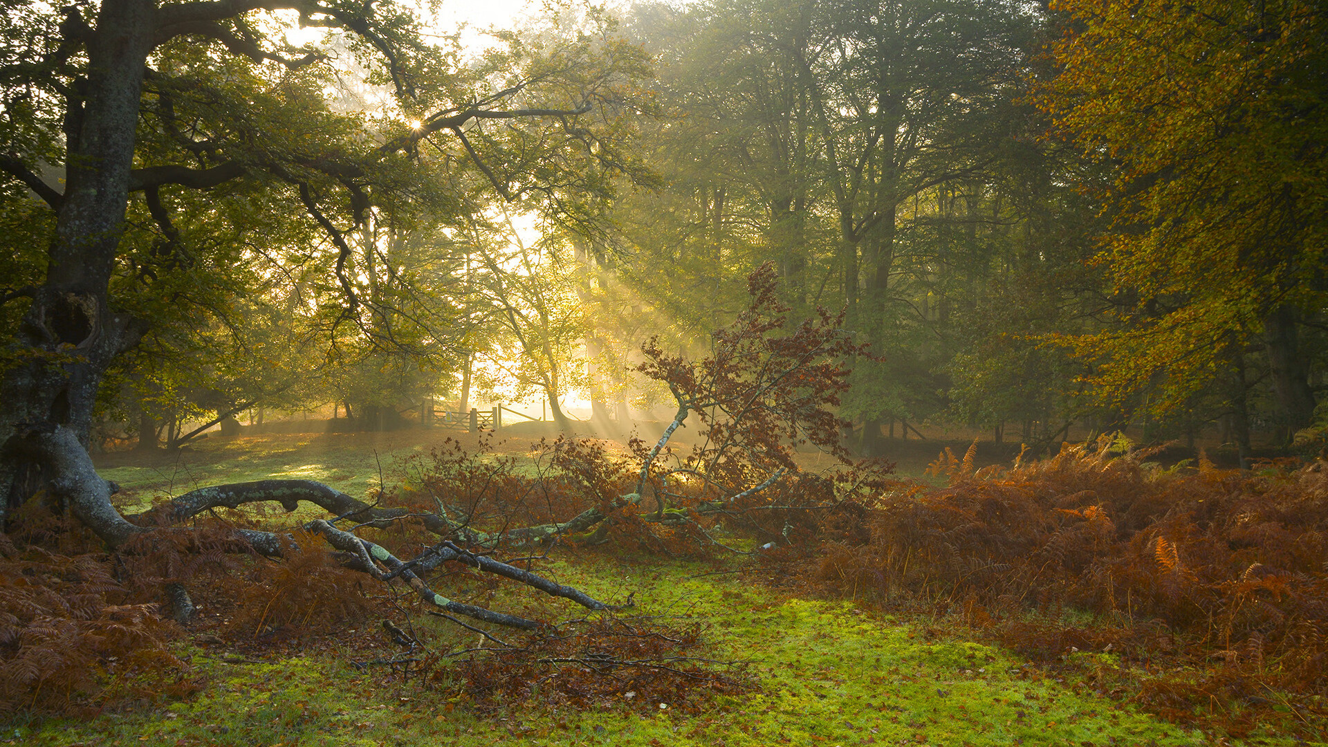 “法甲巅峰对决:豪门对阵引爆全场”,法甲土豪