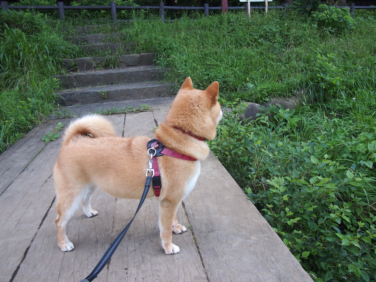 开云入口-“每一圈都燃烧：激情与速度的极致演绎”