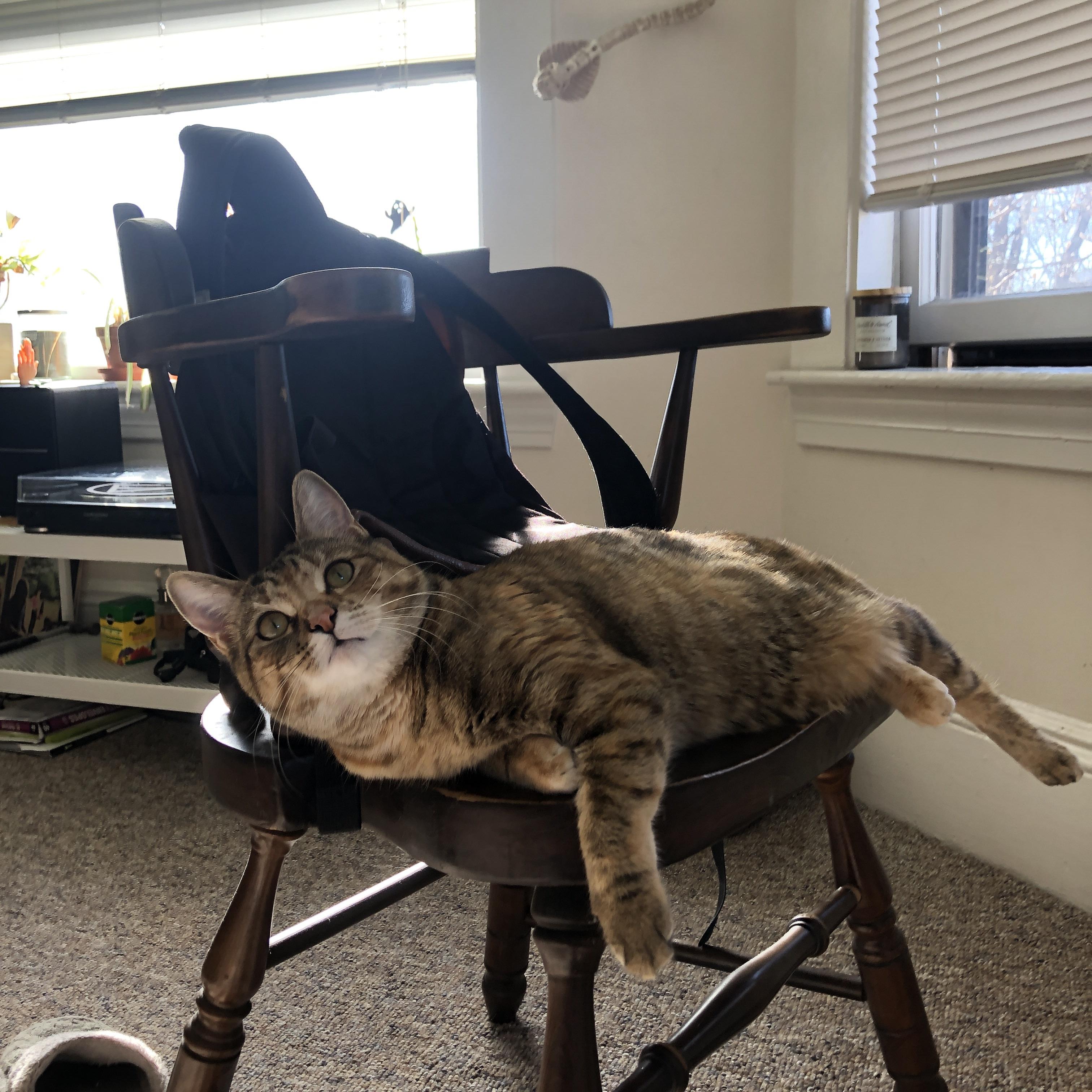 开云官网-【冠军故事】他们如何通过坚持训练夺得世界冠军？，世界冠军训练视频