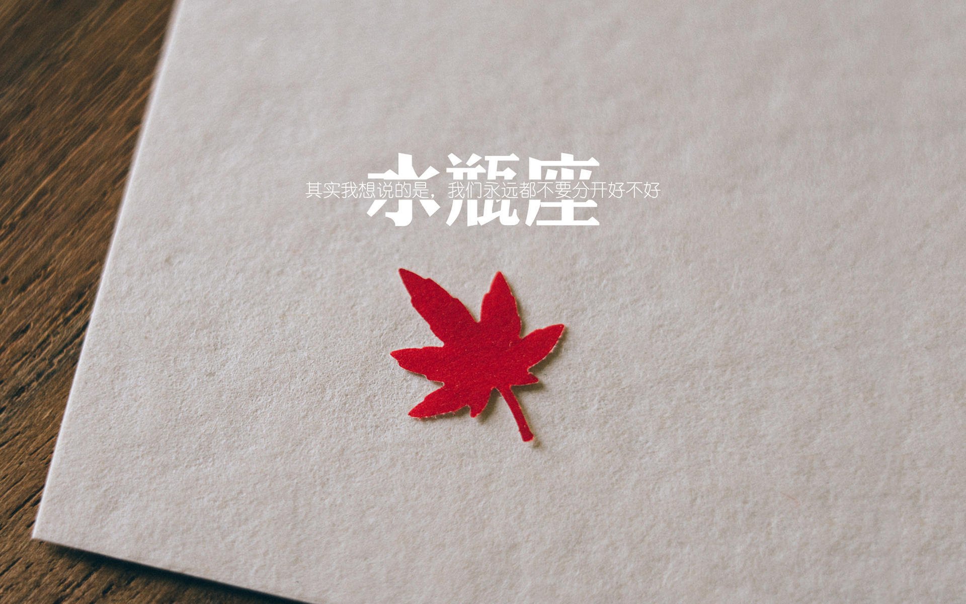 优质青训基地通过国际认证,行业国际化水平持续提升,著名青训营