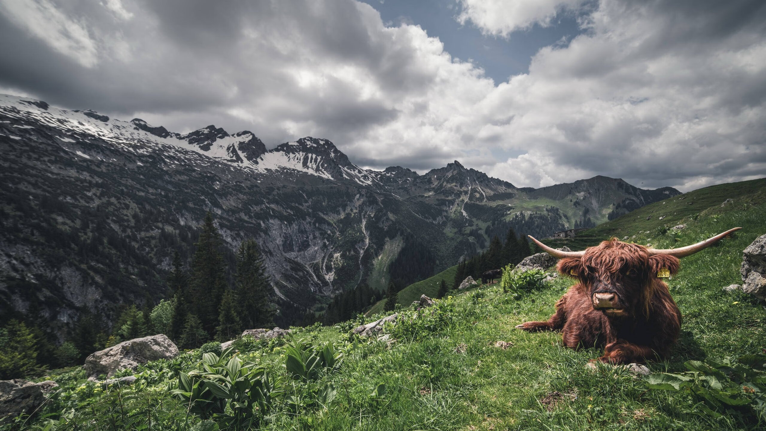 开云网页版登录入口-特色篮球品牌国际合作不断深化，推动行业高端化发展，篮球赛事品牌