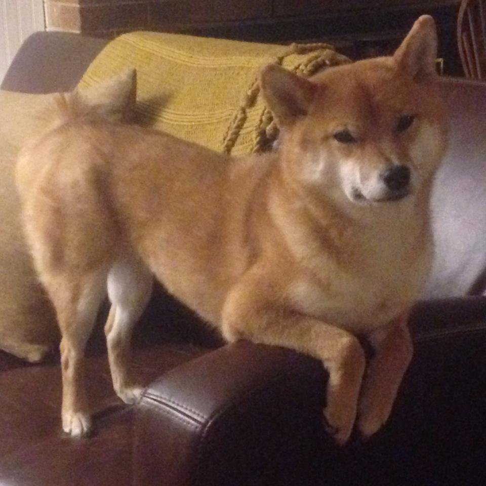 kaiyun官方网站-西甲：皇马在客场2-0完胜巴萨，领跑悬念持续升高，皇马2-1战胜巴萨登顶