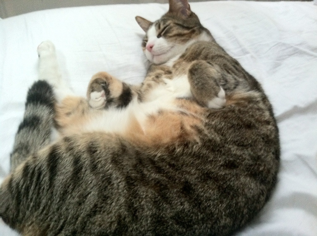 防守奇兵:李磊关键封盖,助球队稳住胜局!