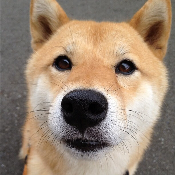 《湖人球迷期待球队在休赛期进行积极操作》,湖人到期球员