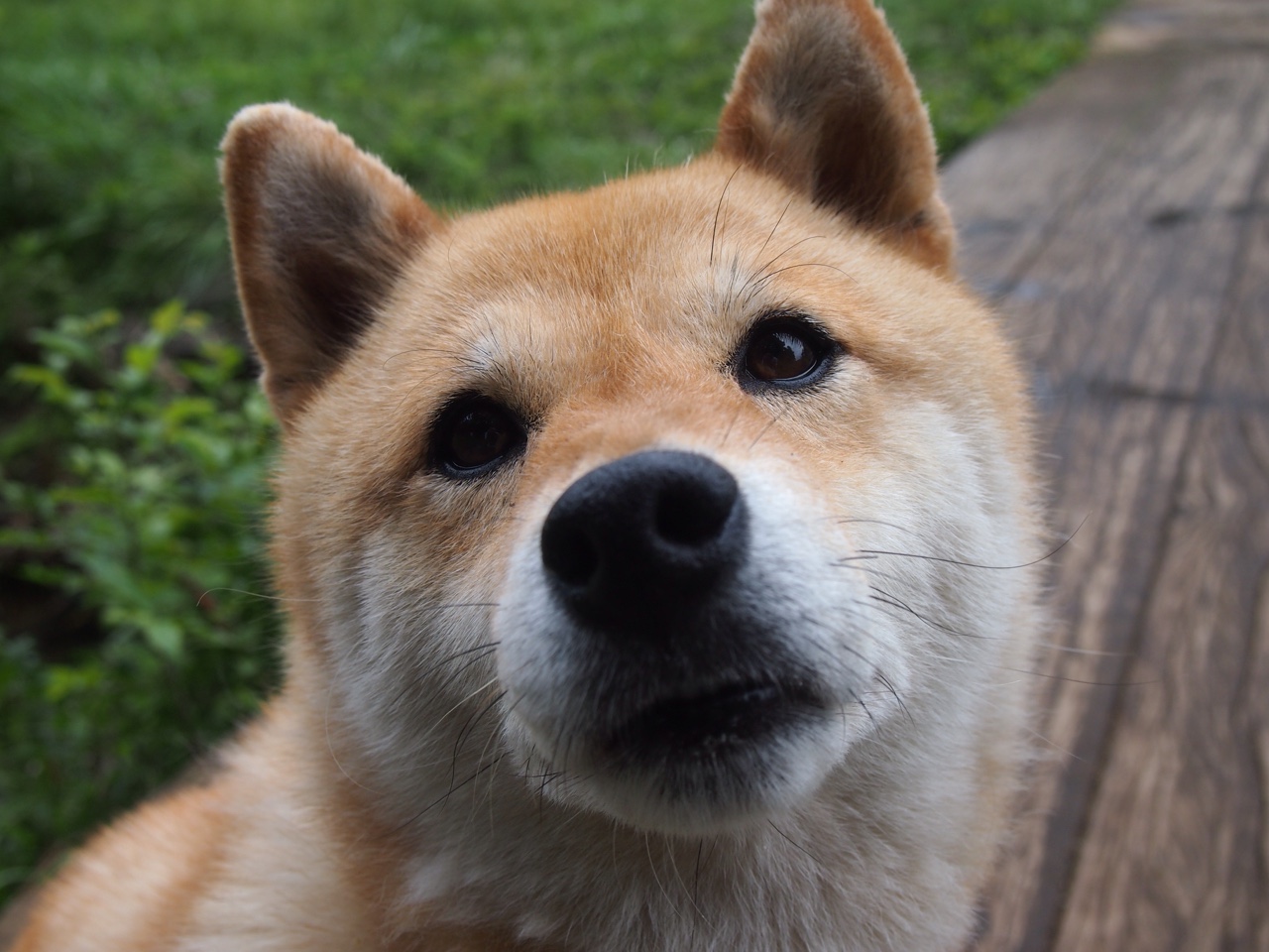 kaiyun官方入口登录-曼城2-0切尔西，瓜帅战术奏效，曼城2_1切尔西