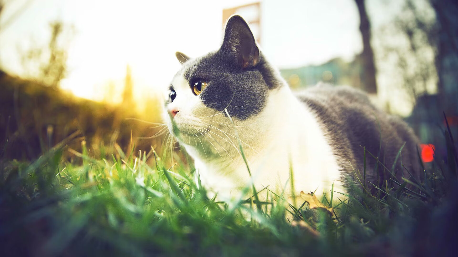 曼城客场逆转,豪取三分稳固榜首位置,曼城客场球员版