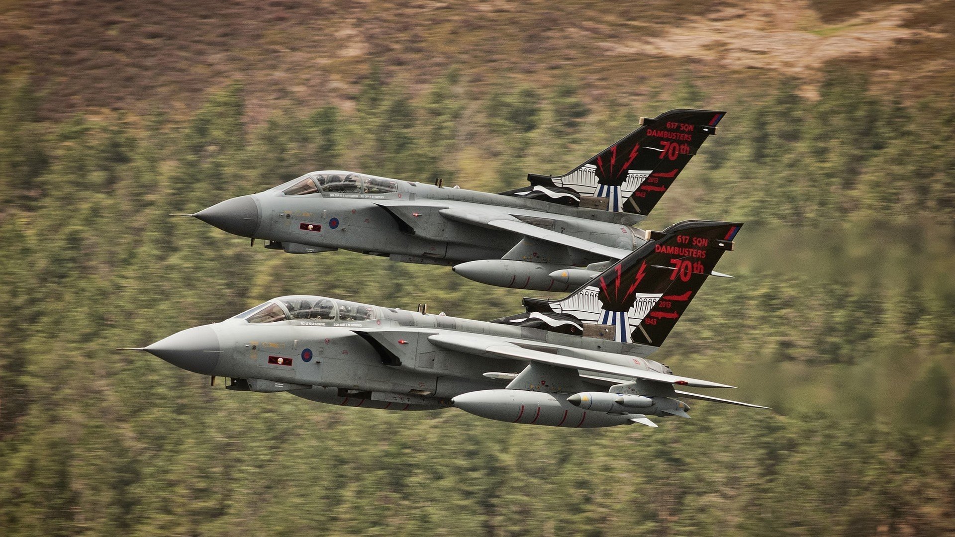 巴西马术协会与德国马术协会建立战略合作伙伴关系,共同推动马术文化发展。