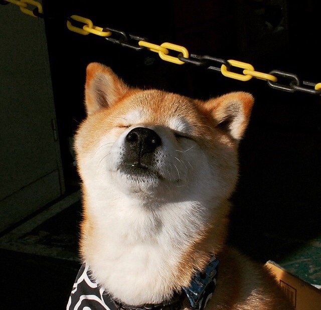 篮球比赛中战术变化对比赛结果影响的实证分析，篮球战术分析怎么写