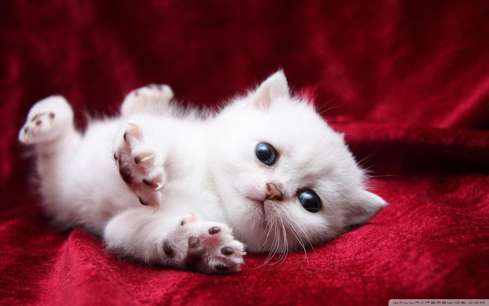 英超边缘球员角色转型与职业可持续发展研究,英超十大边锋