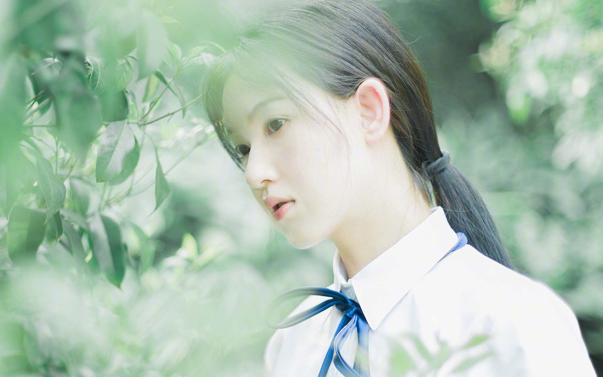 高校体育专业课程设置与市场需求匹配度分析，体育专业市场的分类