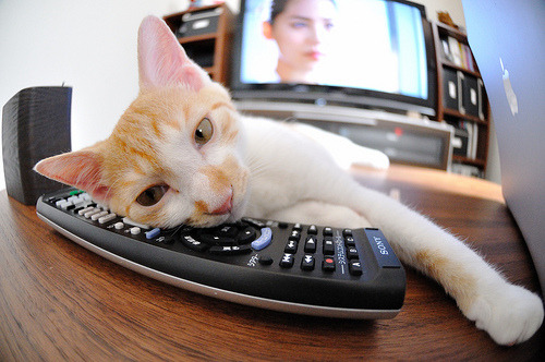 开云官方网页登录-“英国泳坛新锋芒！汤姆·佩顿突破自我，挑战世界纪录”