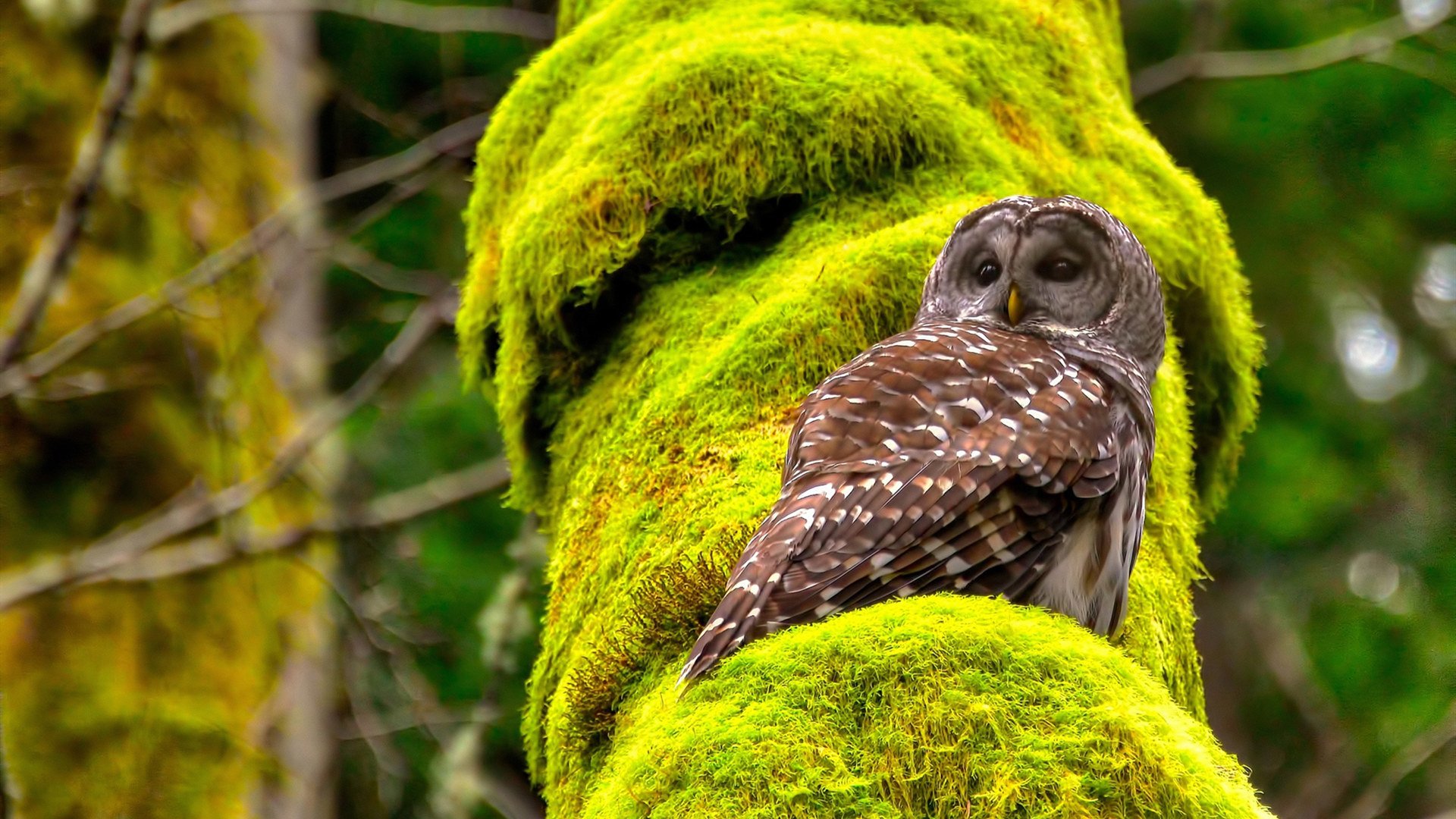 kaiyun中国官方网站-投篮选择合理性如何改变比赛节奏，投篮调整