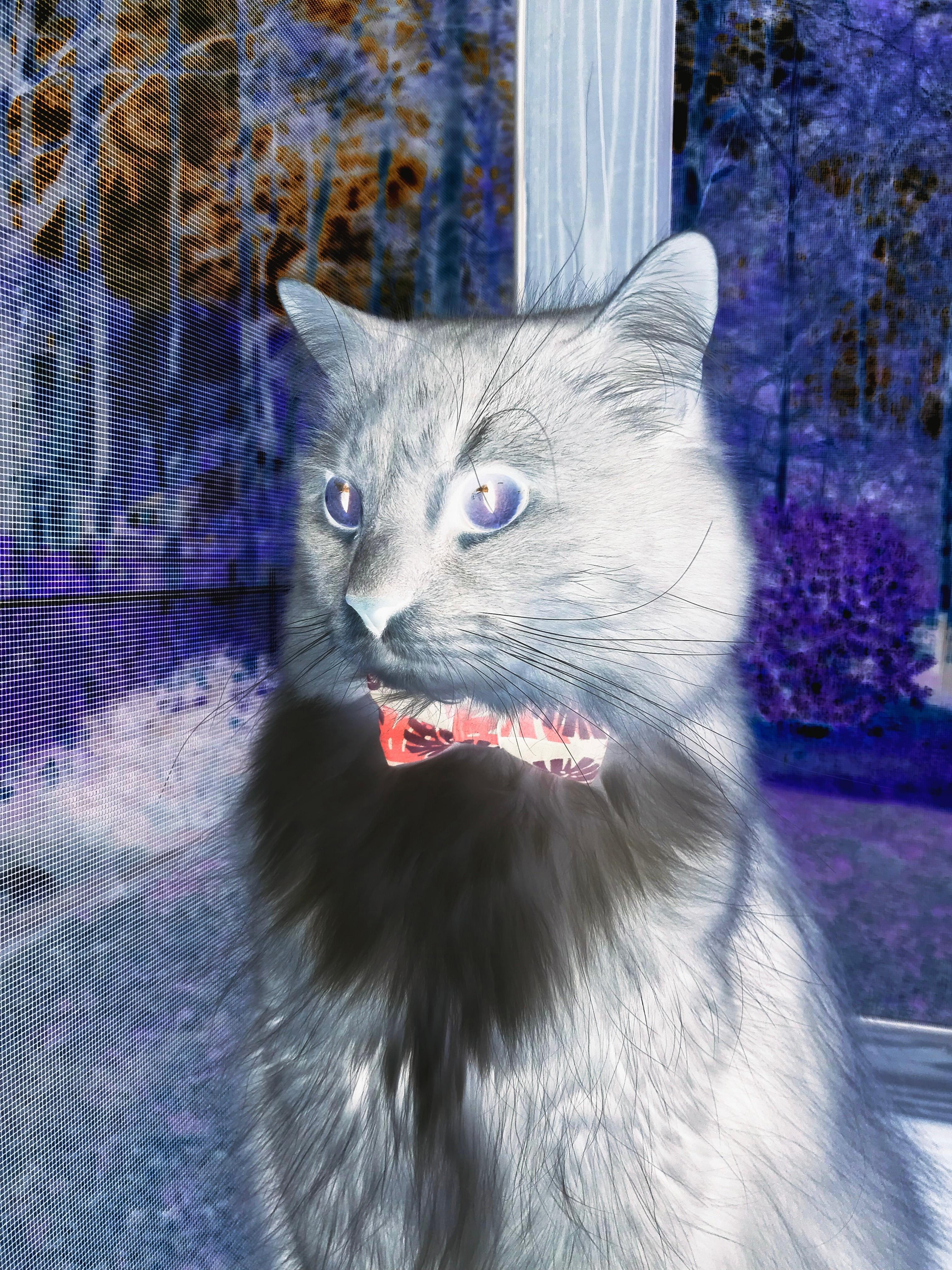 冬季运动推广活动走进小学课堂，小学开展冬季运动会