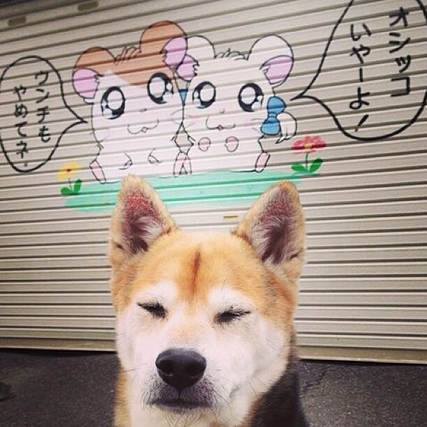 开云官网APP下载-国家队后场战术演练加强快攻组织与第一传精准性训练，后场进攻的关键