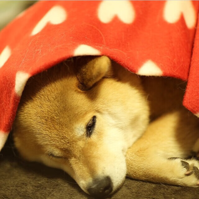 新闻中心发布体育特色小镇年度验收标准参考稿,特色体育小镇发展的背景