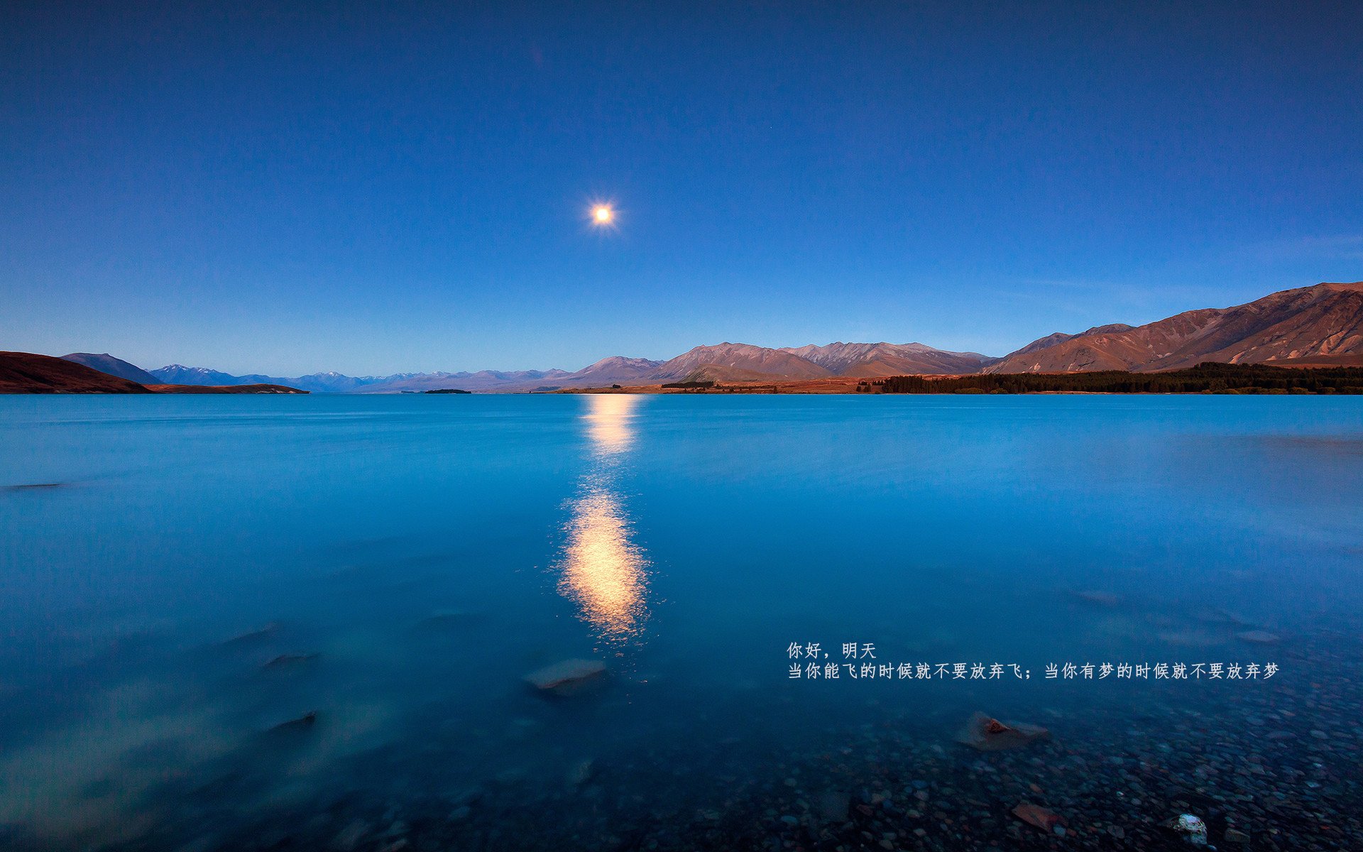 瑞安的全面技术,让全黑队进攻与防守双线并行,瑞安市打黑除恶办领导名单